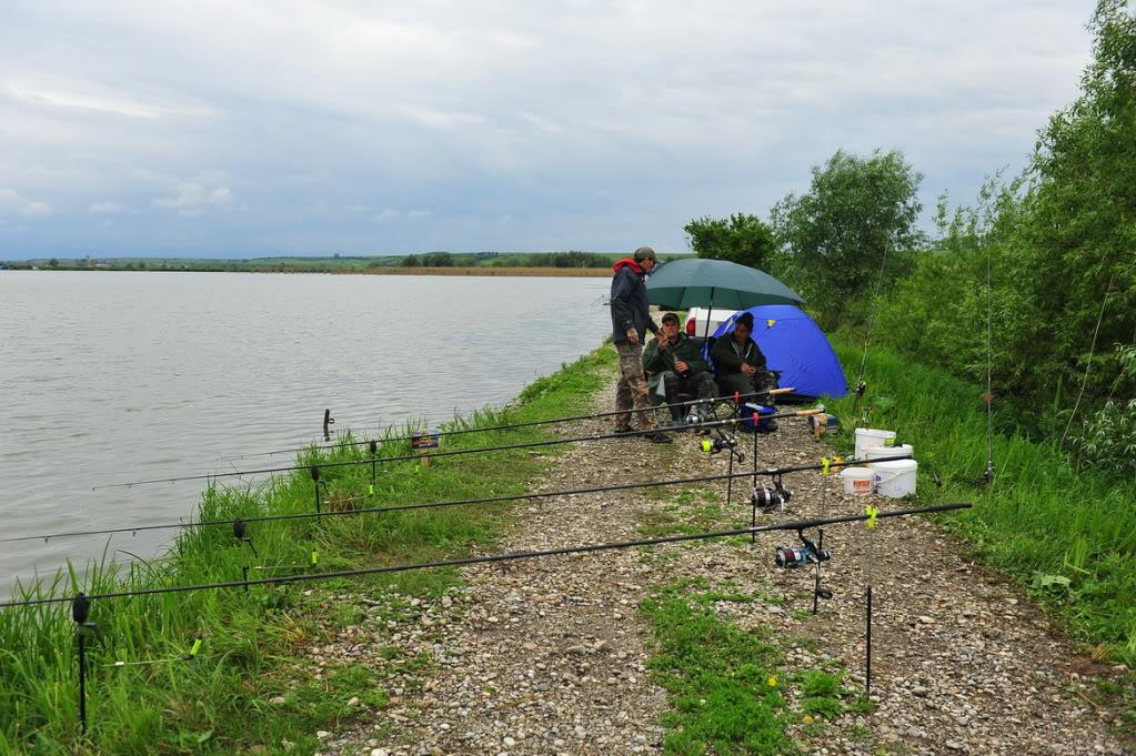 cupa energy - aaa.jpg